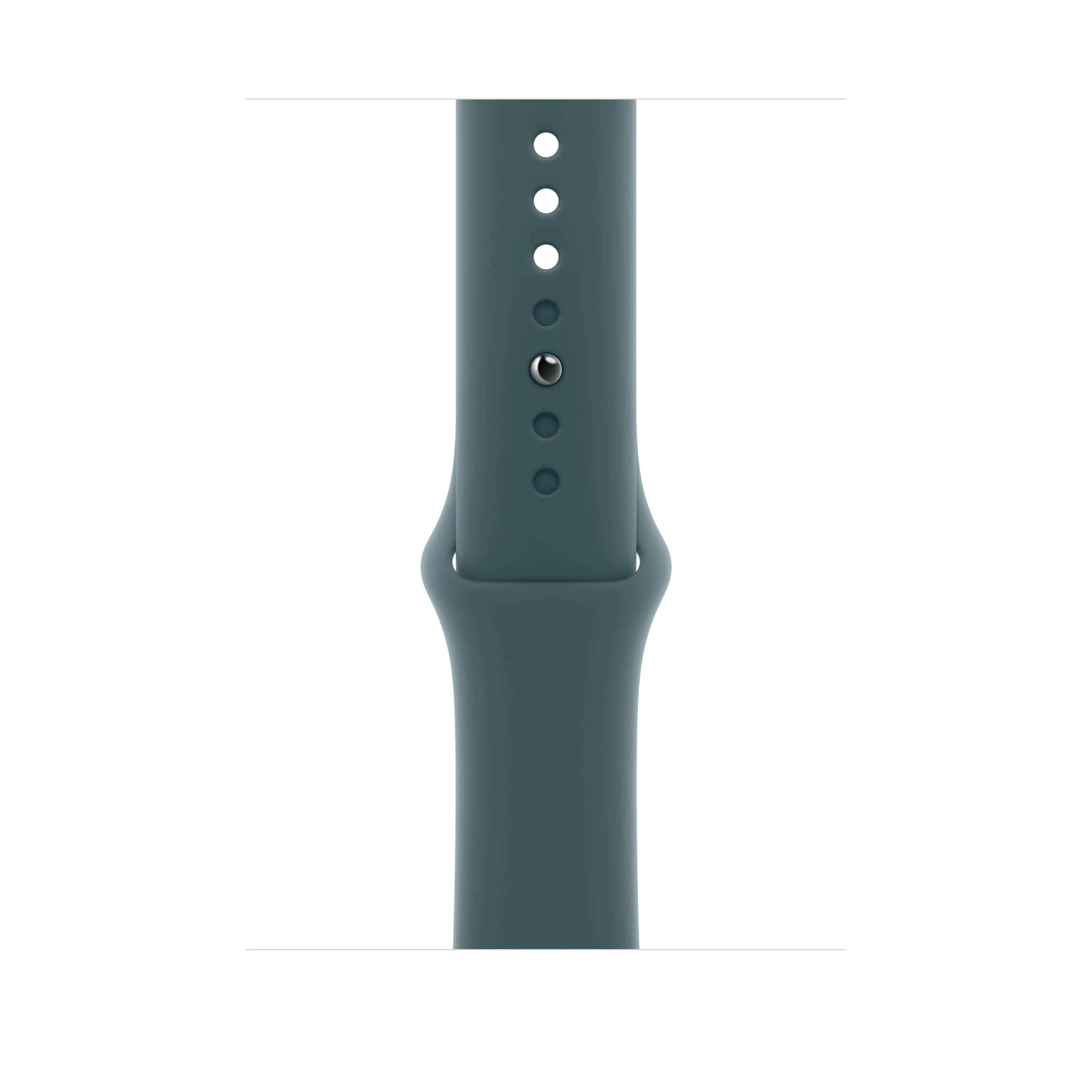 Apple Watch 40mm Sport Band:  Lake Green Sport Band - M/L (Seasonal)